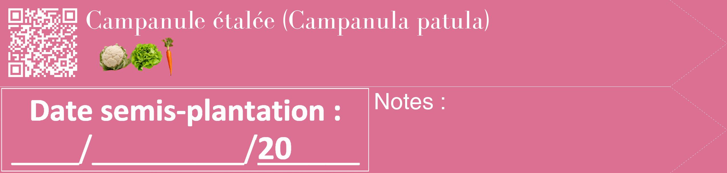 Étiquette de : Campanula patula - format c - style blanche44_simple_simplebod avec qrcode et comestibilité simplifiée