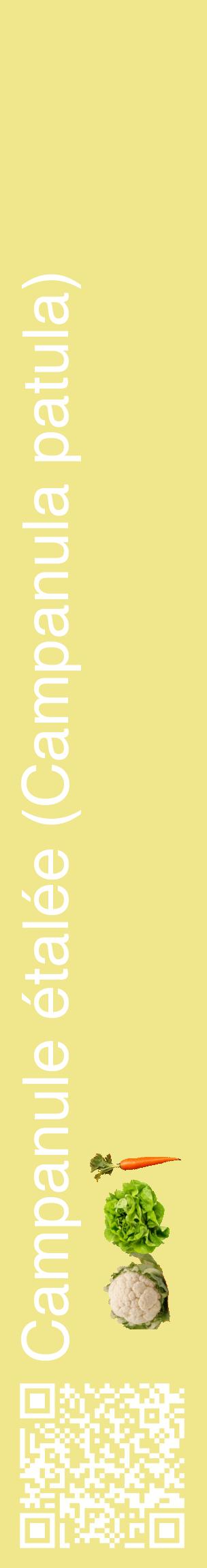 Étiquette de : Campanula patula - format c - style blanche20_basiquehel avec qrcode et comestibilité simplifiée