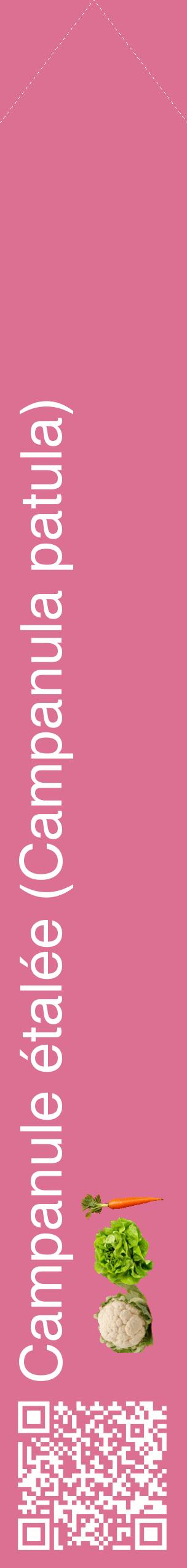 Étiquette de : Campanula patula - format c - style blanche44_simplehel avec qrcode et comestibilité simplifiée