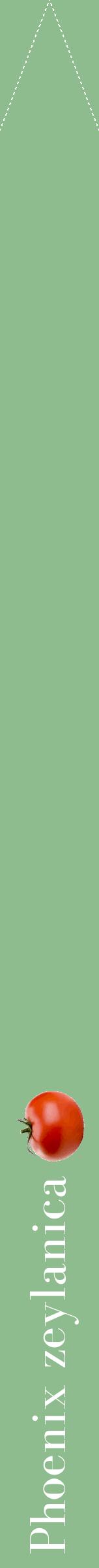 Étiquette de : Phoenix zeylanica - format b - style blanche13bod avec comestibilité simplifiée