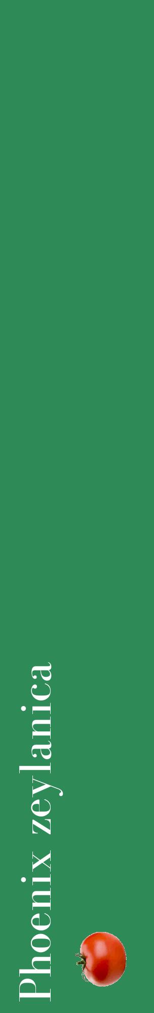 Étiquette de : Phoenix zeylanica - format c - style blanche11_basiquebod avec comestibilité simplifiée