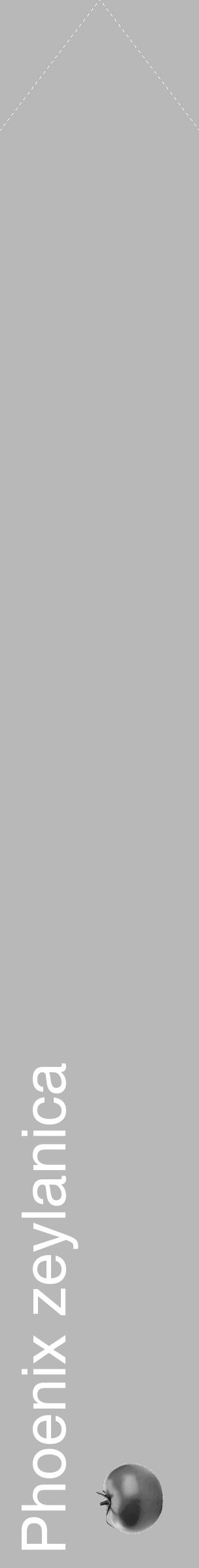 Étiquette de : Phoenix zeylanica - format c - style blanche39_simple_simplehel avec comestibilité simplifiée - position verticale