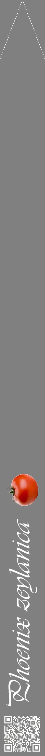 Étiquette de : Phoenix zeylanica - format b - style blanche57viv avec qrcode et comestibilité simplifiée