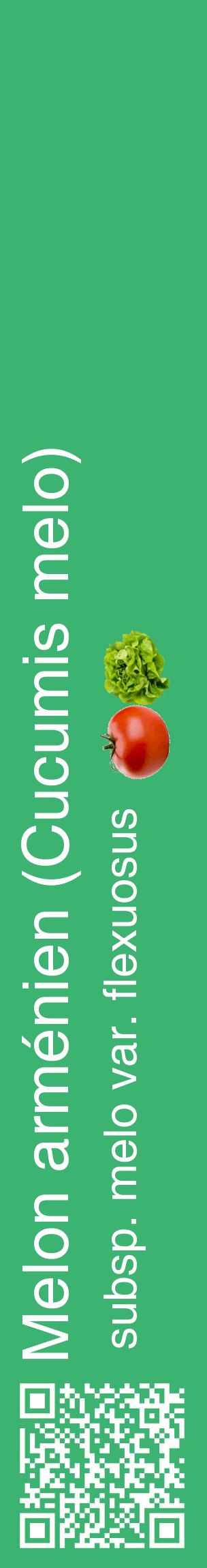 Étiquette de : Cucumis melo subsp. melo var. flexuosus - format c - style blanche12_basiquehel avec qrcode et comestibilité simplifiée