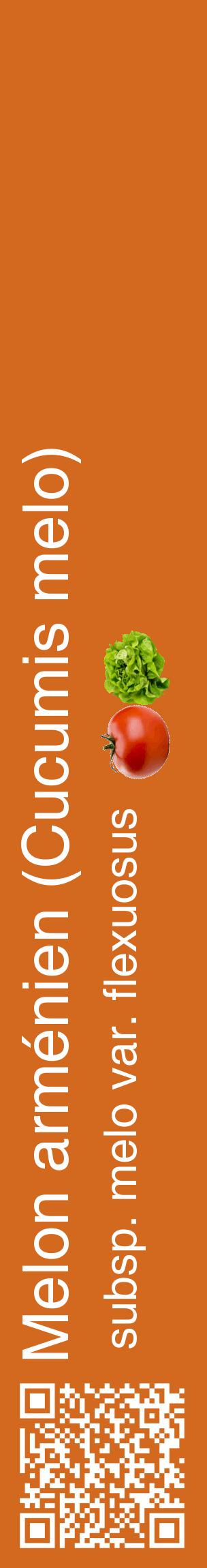 Étiquette de : Cucumis melo subsp. melo var. flexuosus - format c - style blanche31_basiquehel avec qrcode et comestibilité simplifiée