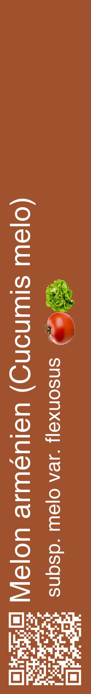 Étiquette de : Cucumis melo subsp. melo var. flexuosus - format c - style blanche32_basiquehel avec qrcode et comestibilité simplifiée