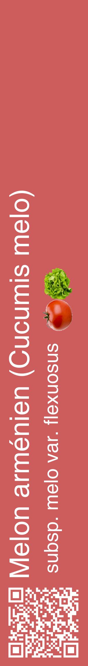 Étiquette de : Cucumis melo subsp. melo var. flexuosus - format c - style blanche35_basiquehel avec qrcode et comestibilité simplifiée