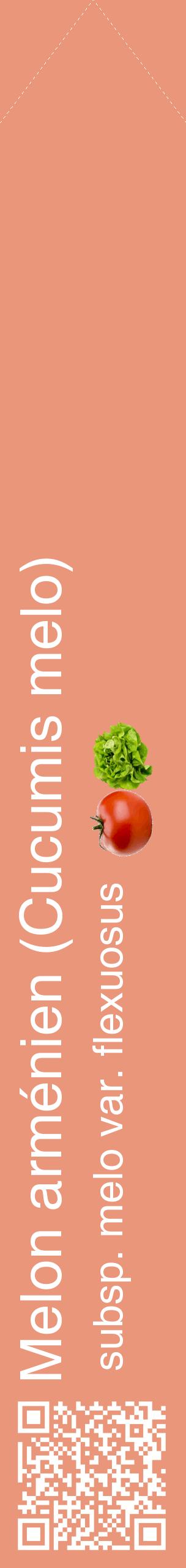 Étiquette de : Cucumis melo subsp. melo var. flexuosus - format c - style blanche37_simplehel avec qrcode et comestibilité simplifiée
