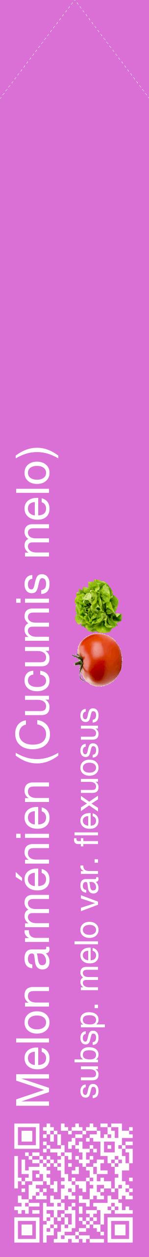 Étiquette de : Cucumis melo subsp. melo var. flexuosus - format c - style blanche52_simplehel avec qrcode et comestibilité simplifiée