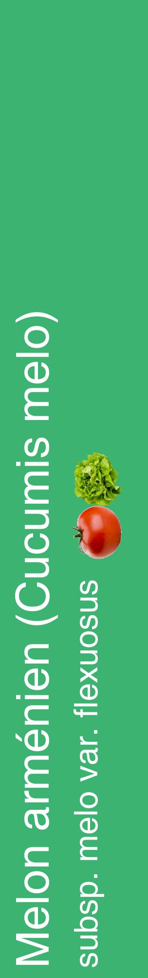 Étiquette de : Cucumis melo subsp. melo var. flexuosus - format c - style blanche12_basiquehel avec comestibilité simplifiée
