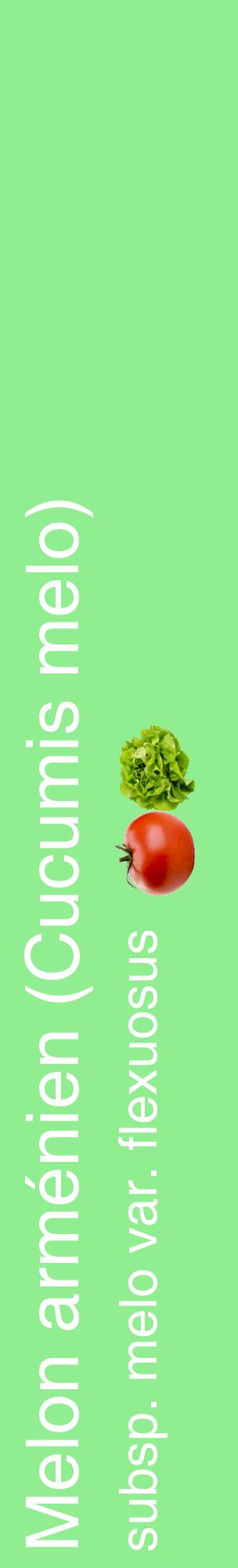 Étiquette de : Cucumis melo subsp. melo var. flexuosus - format c - style blanche15_basiquehel avec comestibilité simplifiée