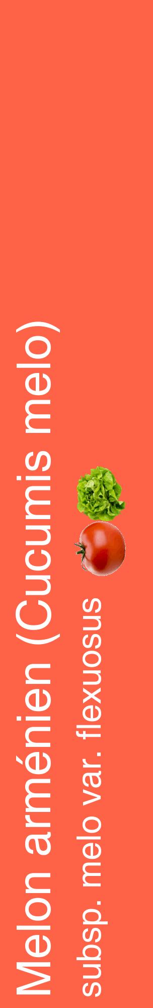 Étiquette de : Cucumis melo subsp. melo var. flexuosus - format c - style blanche25_basiquehel avec comestibilité simplifiée