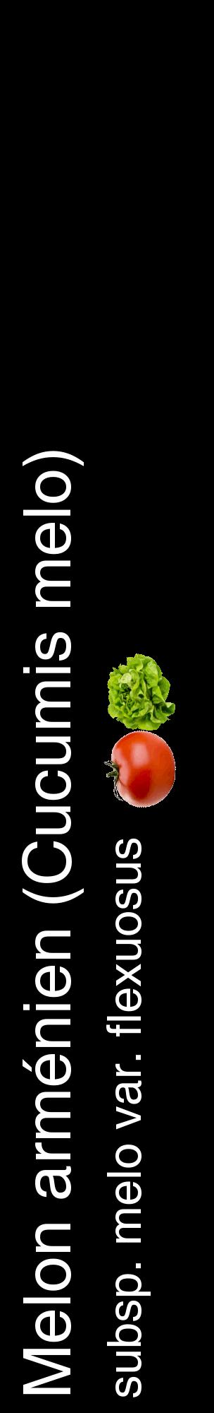 Étiquette de : Cucumis melo subsp. melo var. flexuosus - format c - style blanche59_basiquehel avec comestibilité simplifiée