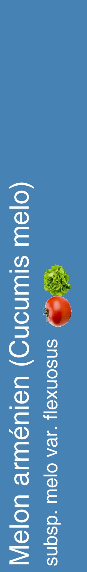 Étiquette de : Cucumis melo subsp. melo var. flexuosus - format c - style blanche5_basiquehel avec comestibilité simplifiée