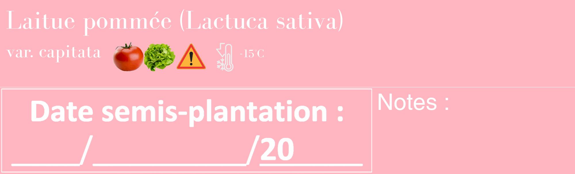 Étiquette de : Lactuca sativa var. capitata - format c - style blanche41_basique_basiquebod avec comestibilité simplifiée
