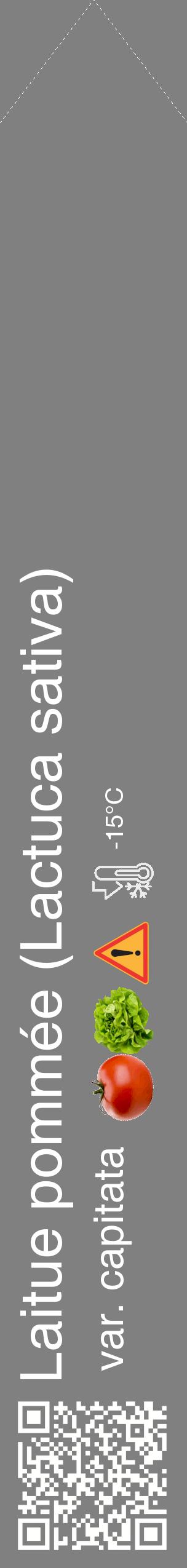 Étiquette de : Lactuca sativa var. capitata - format c - style blanche57_simple_simplehel avec qrcode et comestibilité simplifiée - position verticale