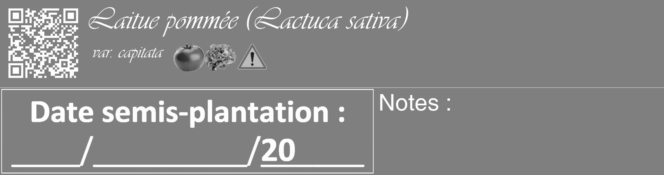 Étiquette de : Lactuca sativa var. capitata - format c - style blanche57_basique_basiqueviv avec qrcode et comestibilité simplifiée