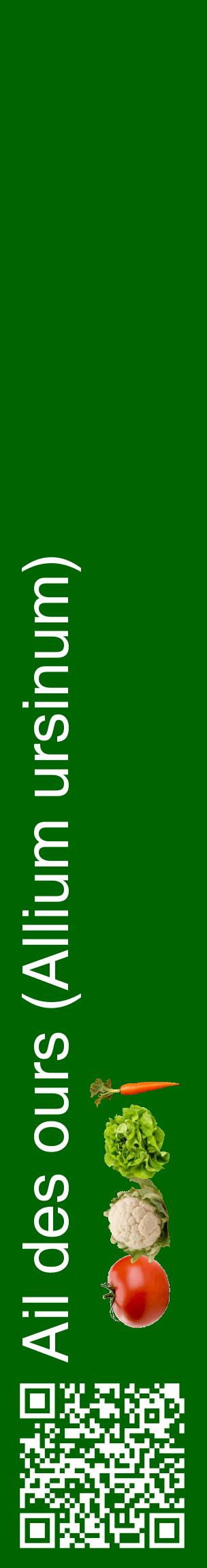 Étiquette de : Allium ursinum - format c - style blanche8_basiquehel avec qrcode et comestibilité simplifiée