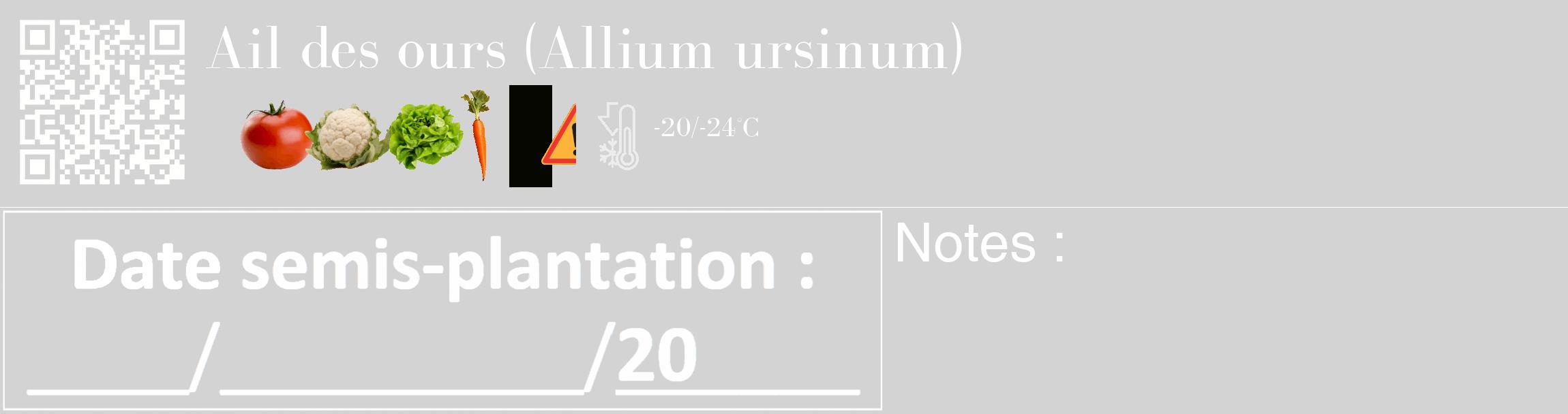 Étiquette de : Allium ursinum - format c - style blanche56_basique_basiquebod avec qrcode et comestibilité simplifiée