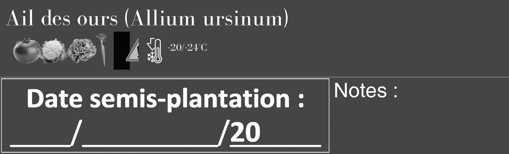 Étiquette de : Allium ursinum - format c - style blanche58_basique_basiquebod avec comestibilité simplifiée