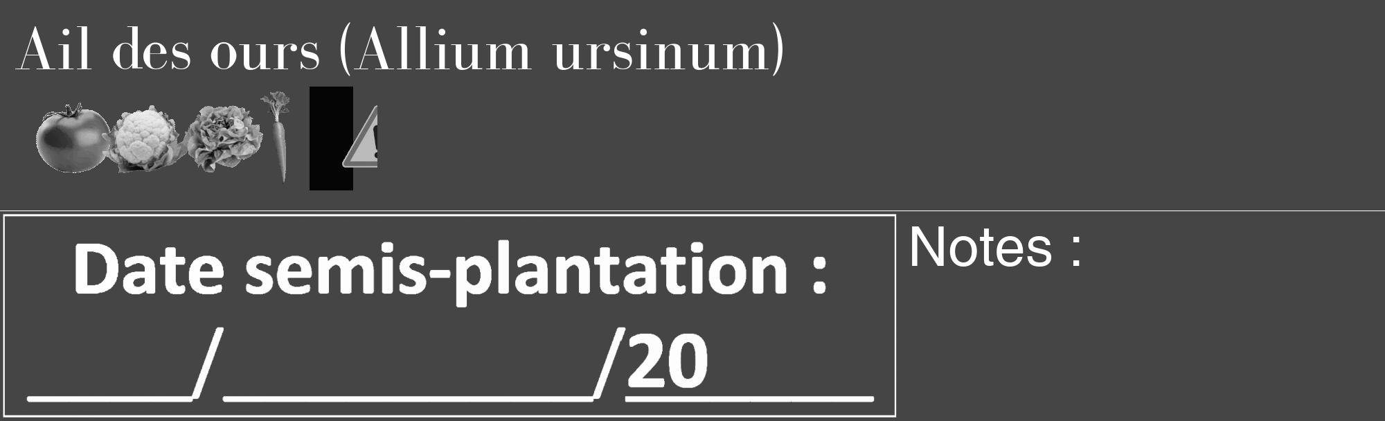 Étiquette de : Allium ursinum - format c - style blanche58_basique_basiquebod avec comestibilité simplifiée