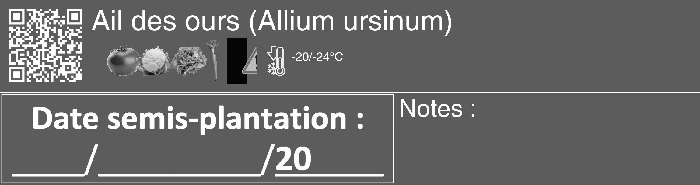 Étiquette de : Allium ursinum - format c - style blanche49_basique_basiquehel avec qrcode et comestibilité simplifiée