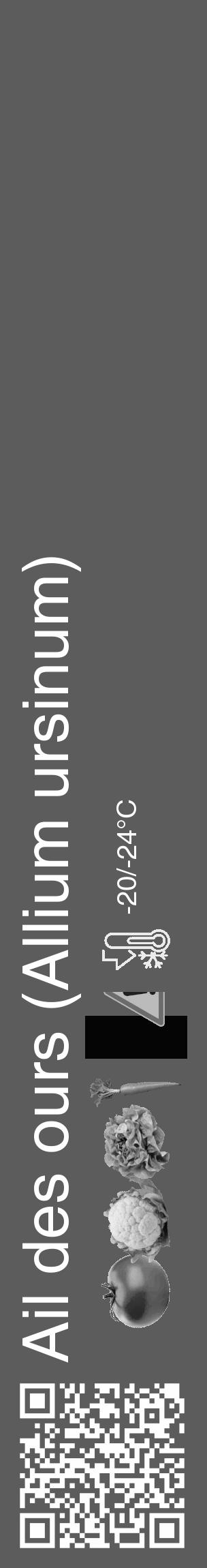 Étiquette de : Allium ursinum - format c - style blanche49_basique_basiquehel avec qrcode et comestibilité simplifiée - position verticale