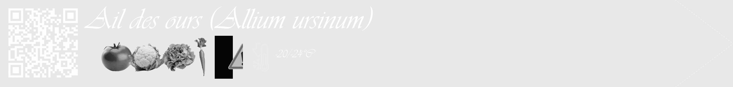 Étiquette de : Allium ursinum - format c - style blanche55_simple_simpleviv avec qrcode et comestibilité simplifiée