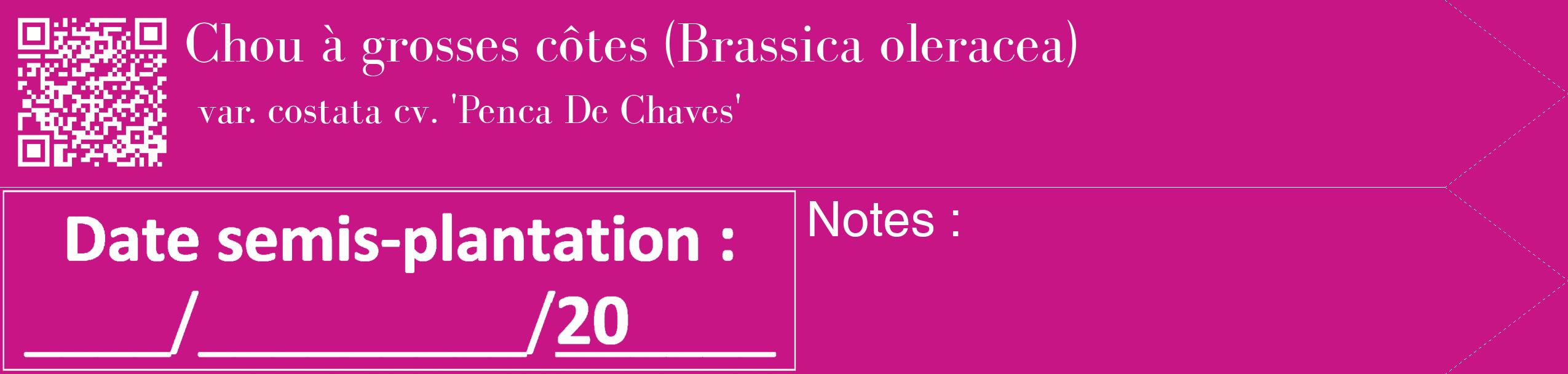 Étiquette de : Brassica oleracea var. costata cv. 'Penca De Chaves' - format c - style blanche45_simple_simplebod avec qrcode et comestibilité
