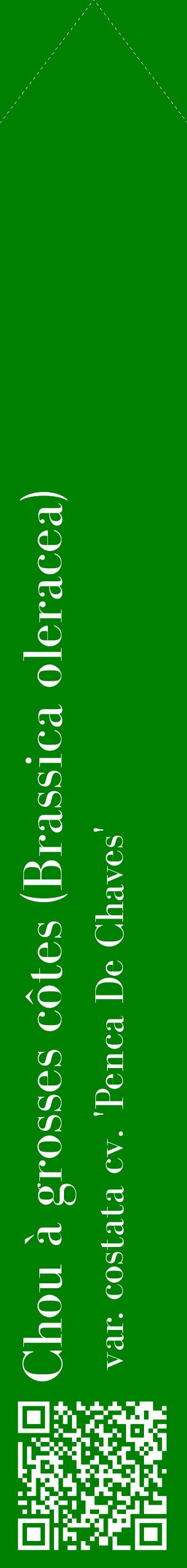 Étiquette de : Brassica oleracea var. costata cv. 'Penca De Chaves' - format c - style blanche9_simplebod avec qrcode et comestibilité