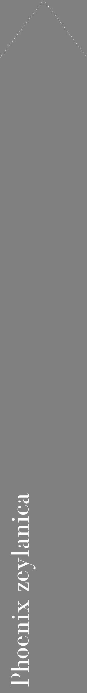 Étiquette de : Phoenix zeylanica - format c - style blanche57_simplebod avec comestibilité