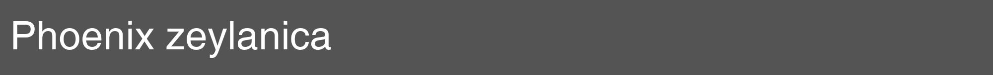 Étiquette de : Phoenix zeylanica - format a - style blanche30hel avec comestibilité