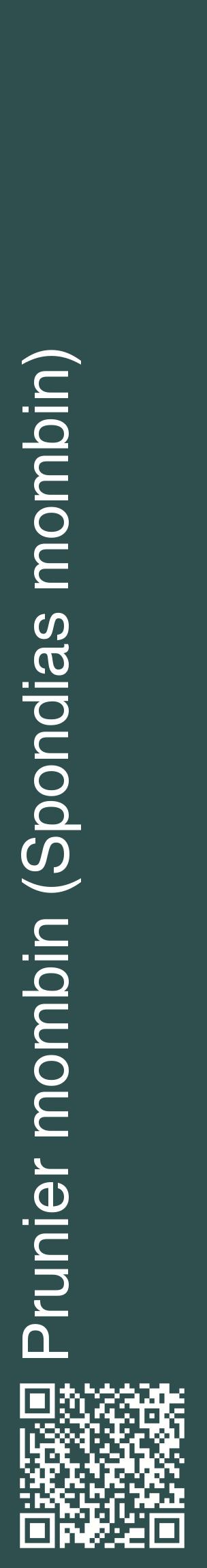 Étiquette de : Spondias mombin - format c - style blanche58_basiquehel avec qrcode et comestibilité