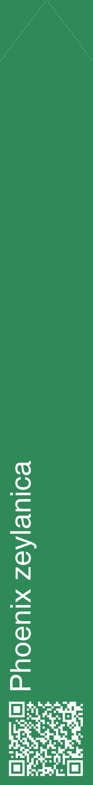 Étiquette de : Phoenix zeylanica - format c - style blanche11_simplehel avec qrcode et comestibilité
