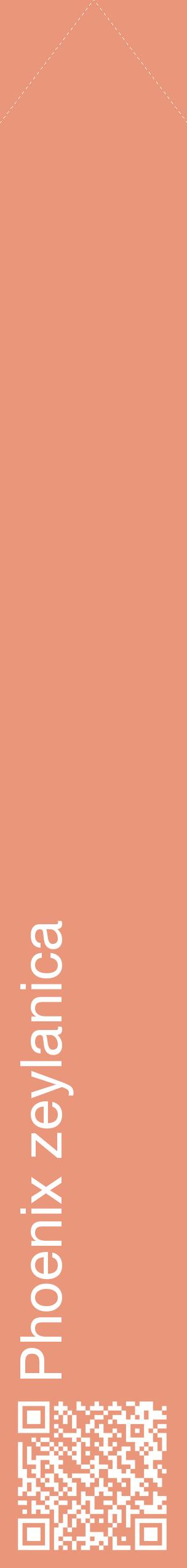 Étiquette de : Phoenix zeylanica - format c - style blanche37_simplehel avec qrcode et comestibilité