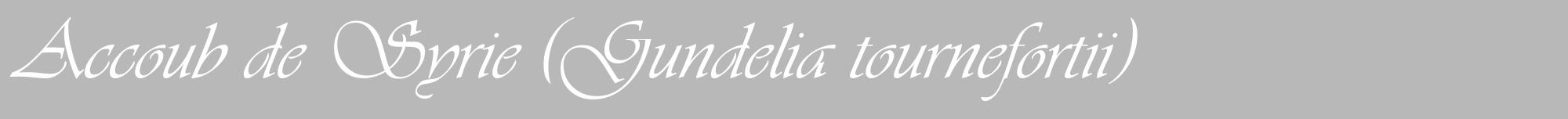 Étiquette de : Gundelia tournefortii - format a - style blanche39viv avec comestibilité