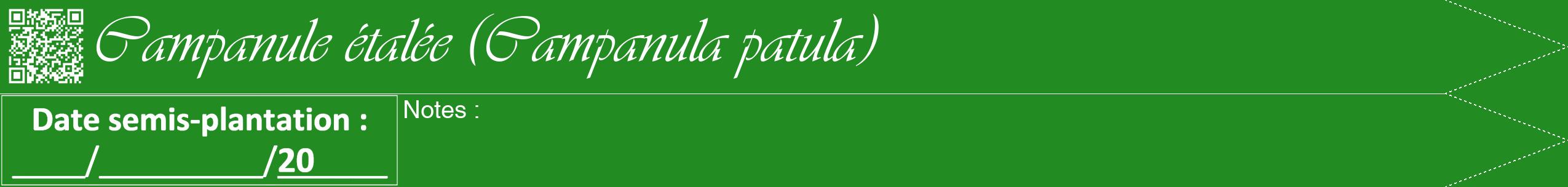 Étiquette de : Campanula patula - format b - style blanche10viv avec qrcode et comestibilité