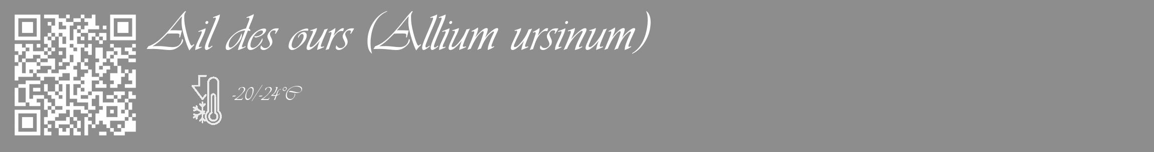 Étiquette de : Allium ursinum - format c - style blanche2_basique_basiqueviv avec qrcode et comestibilité