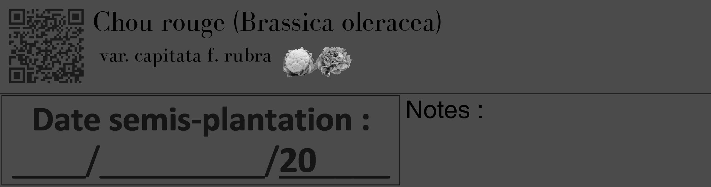 Étiquette de : Brassica oleracea var. capitata f. rubra - format c - style noire9_basique_basiquebod avec qrcode et comestibilité simplifiée