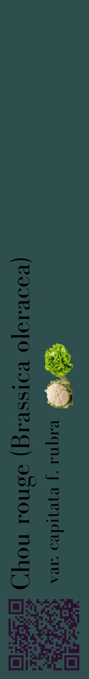 Étiquette de : Brassica oleracea var. capitata f. rubra - format c - style noire58_basiquebod avec qrcode et comestibilité simplifiée