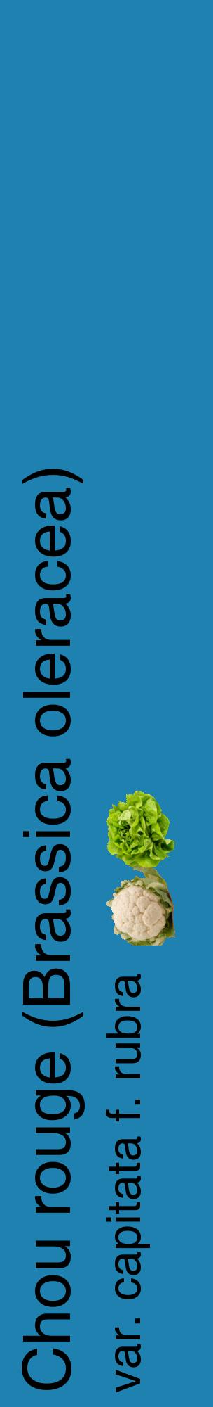 Étiquette de : Brassica oleracea var. capitata f. rubra - format c - style noire6_basiquehel avec comestibilité simplifiée