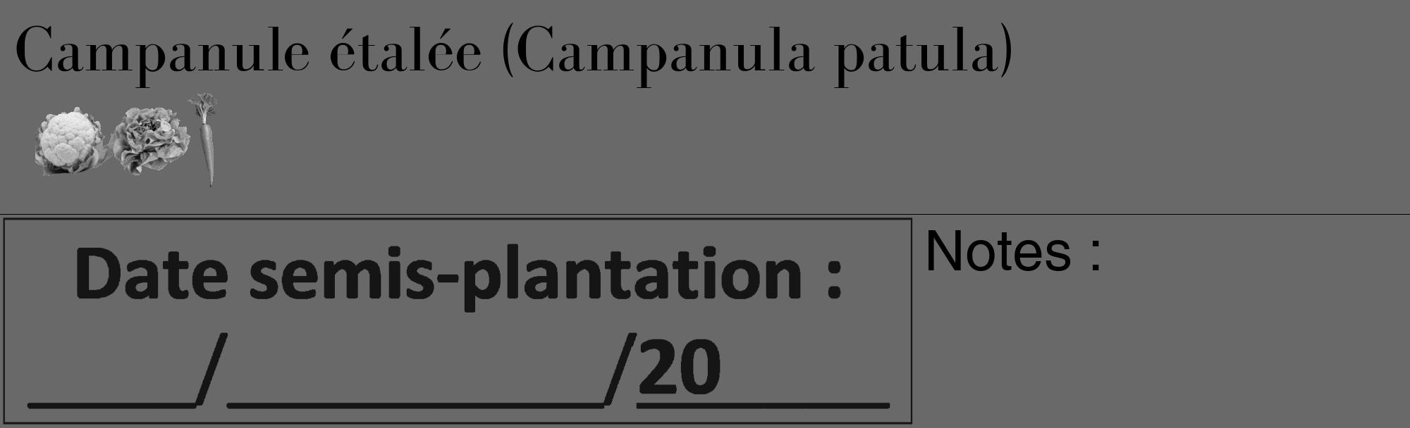 Étiquette de : Campanula patula - format c - style noire11_basique_basiquebod avec comestibilité simplifiée