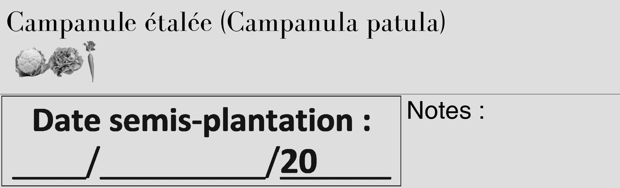 Étiquette de : Campanula patula - format c - style noire20_basique_basiquebod avec comestibilité simplifiée