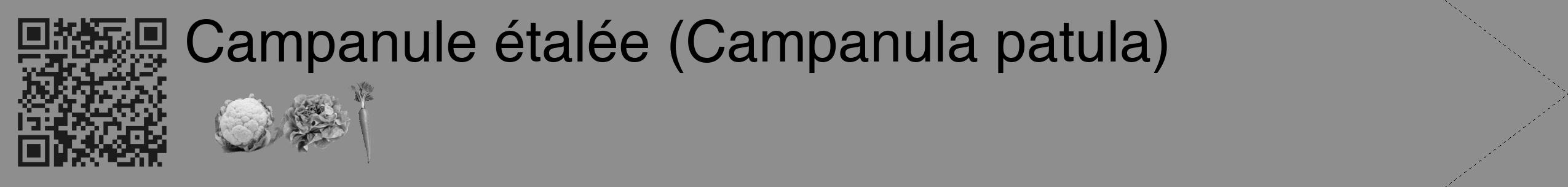 Étiquette de : Campanula patula - format c - style noire25_simple_simplehel avec qrcode et comestibilité simplifiée