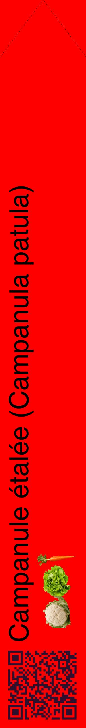 Étiquette de : Campanula patula - format c - style noire27_simplehel avec qrcode et comestibilité simplifiée