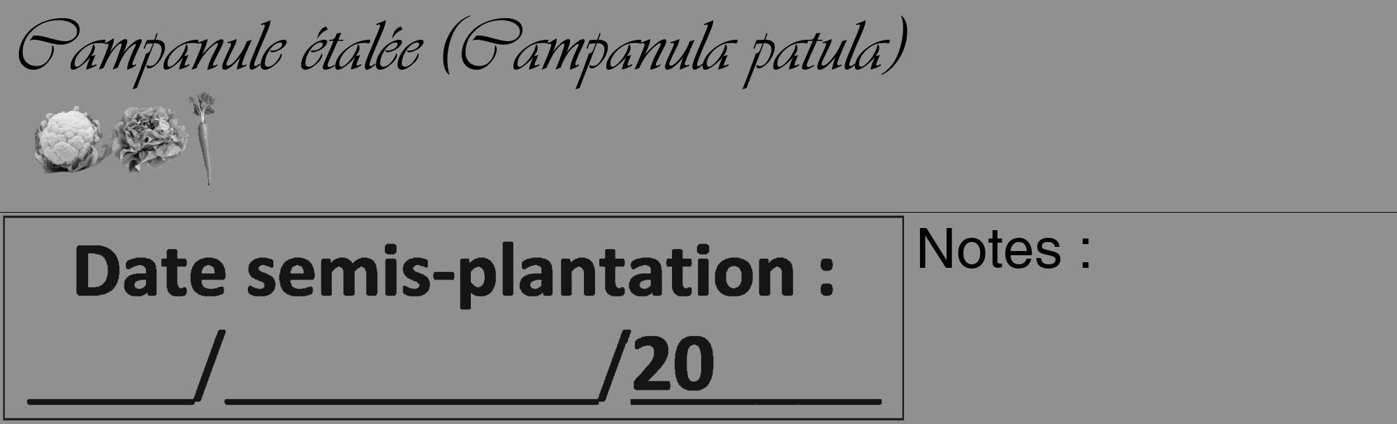 Étiquette de : Campanula patula - format c - style noire4_basique_basiqueviv avec comestibilité simplifiée