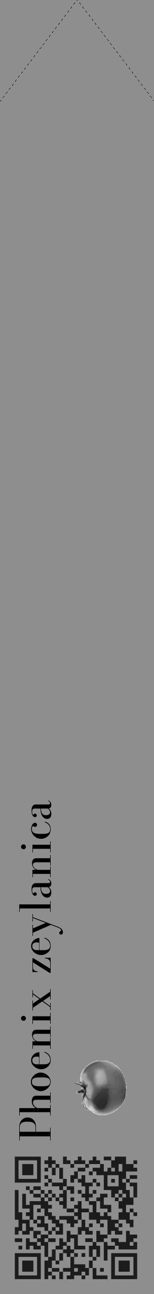 Étiquette de : Phoenix zeylanica - format c - style noire25_simple_simplebod avec qrcode et comestibilité simplifiée - position verticale