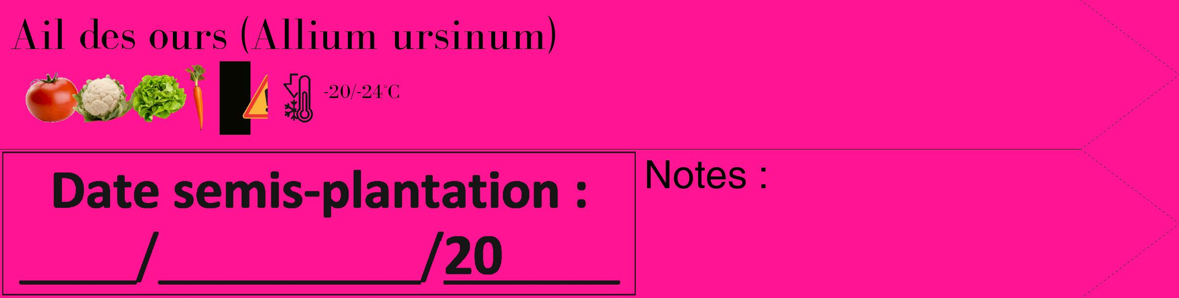 Étiquette de : Allium ursinum - format c - style noire43_simple_simplebod avec comestibilité simplifiée