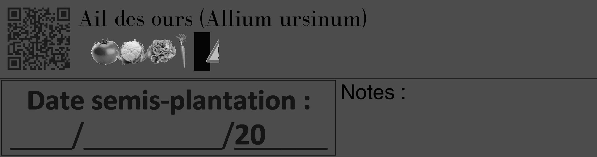 Étiquette de : Allium ursinum - format c - style noire27_basique_basiquebod avec qrcode et comestibilité simplifiée