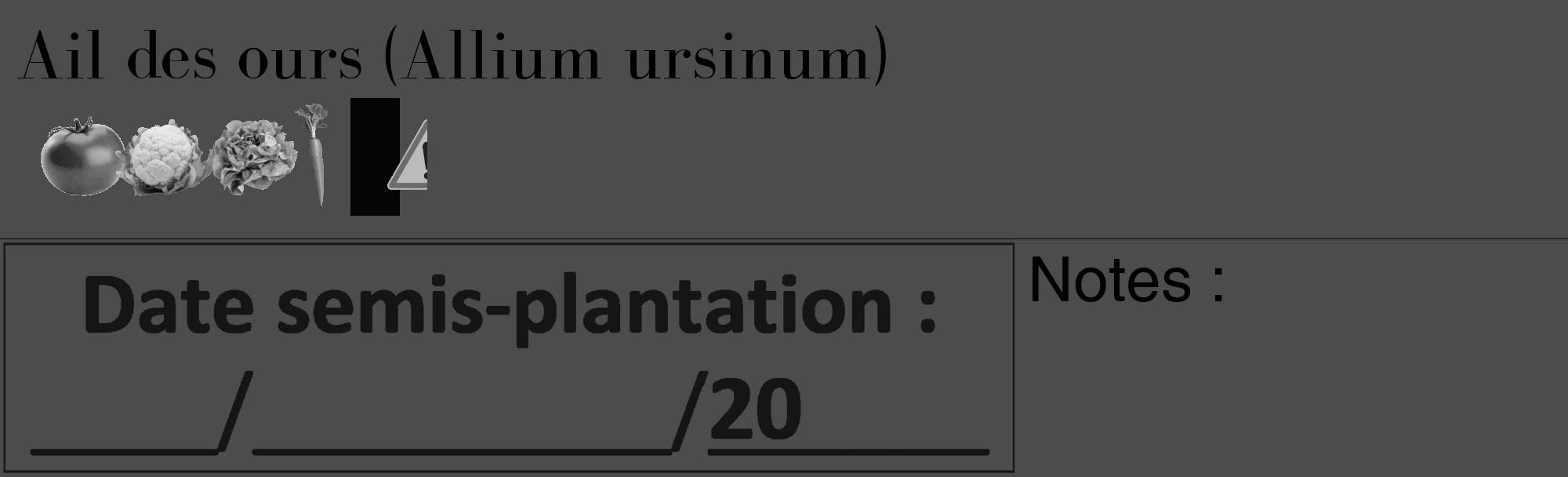 Étiquette de : Allium ursinum - format c - style noire27_basique_basiquebod avec comestibilité simplifiée